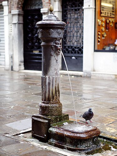 Drinking Fountain